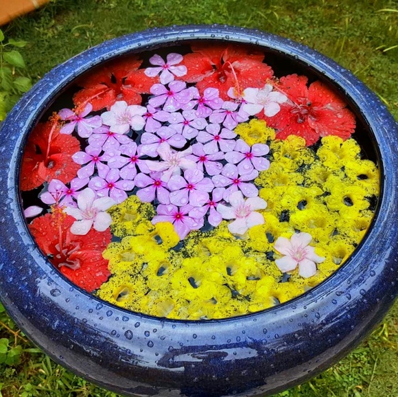 Meet your Posher, GR - Picture 2 of 2